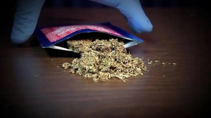 Onda da Droga K9 chega a Ponta Grossa: As autoridades estão em alerta!