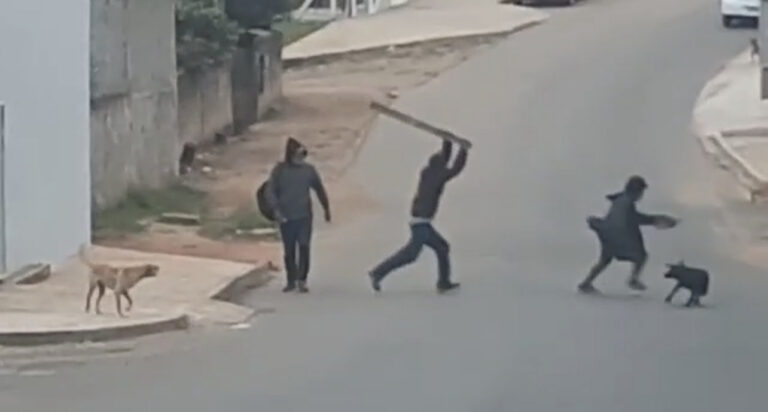 Vídeo chocante revela briga intensa na Vila Francelina em Ponta Grossa!