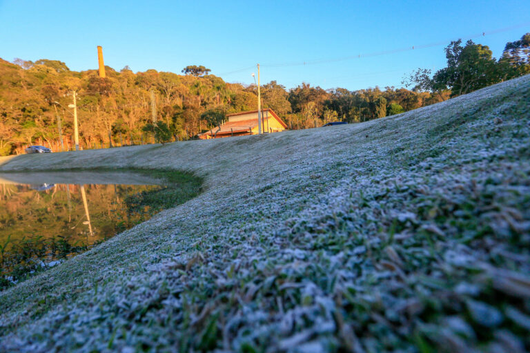 Alerta Geada: Previsão antecipada de frio intenso no Paraná