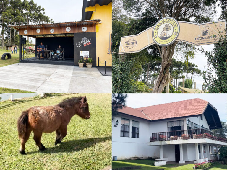 Witmarsum: Descubra um lugar incrível a menos de 60 km de Ponta Grossa!