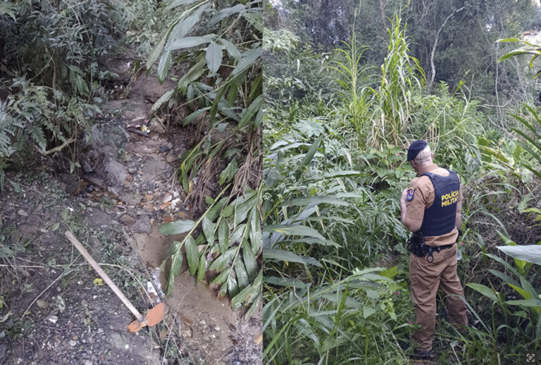 URGENTE: Achado de Ossos Humanos na Região do Santo Antônio – Polícia no Local!
