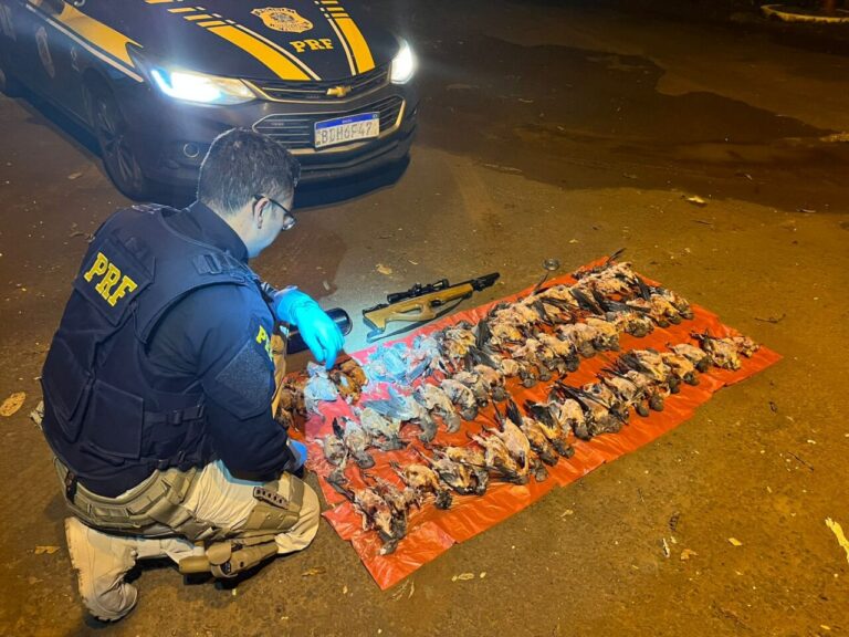 Caçador é detido com 66 aves mortas em sua posse!