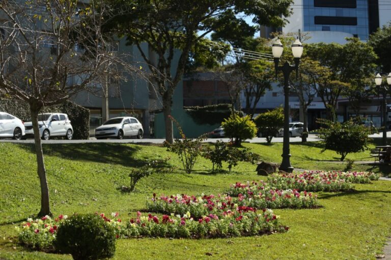 Ponta Grossa mais colorida: a cidade recebe mais de 120 mil mudas de flores.