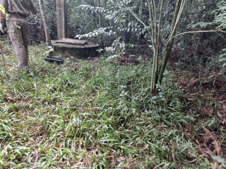 Identificada vítima entre os restos mortais descobertos em poço na região de Itaiacoca!