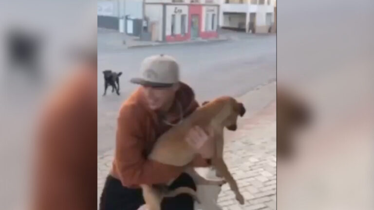 Homem é indiciado por maus-tratos a animal após vídeo viralizar nas redes sociais