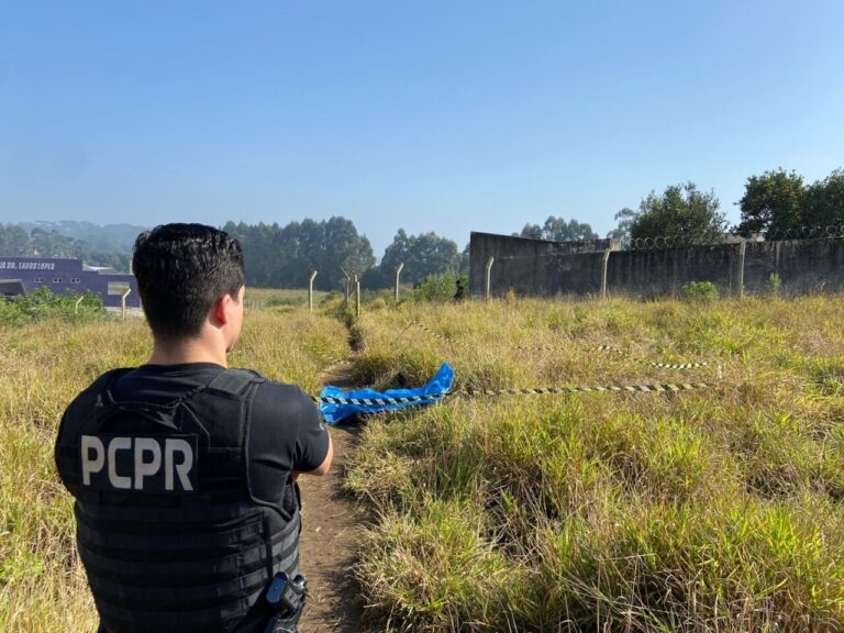 Tragédia em Castro: Corpo de mulher é encontrado às margens da PR 340