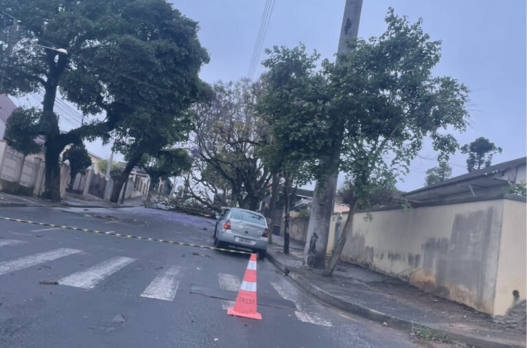 Ponta Grossa sofre com devastação após violenta tempestade