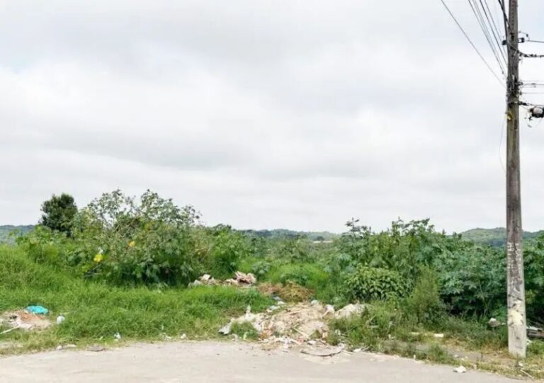Prefeitura de PG propõe decreto para adquirir terrenos abandonados