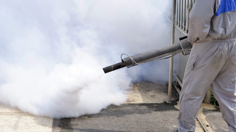 Prefeitura inicia ações de combate ao mosquito da dengue em 2024