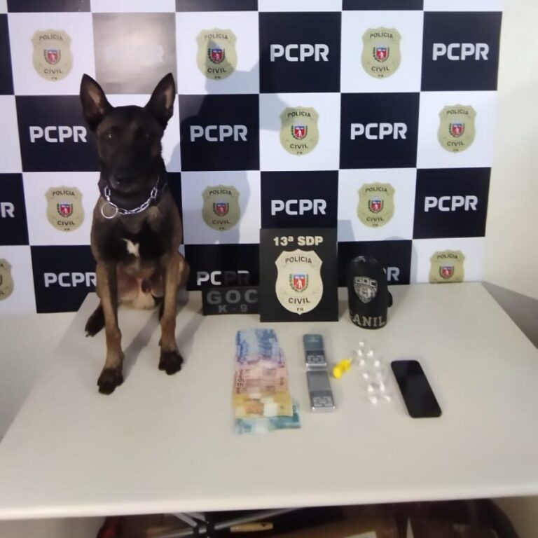 Polícia Civil e GCM de PG realizam prisão em flagrante em ação contra tráfico de drogas