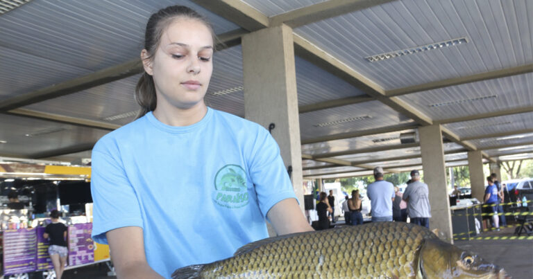 Feira do Peixe abre programação da Semana Santa em PG