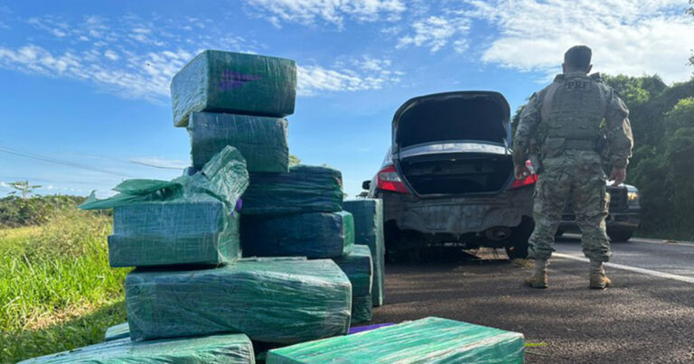 Dupla esconde 402kg de maconha em mato no Paraná e é presa pela PRF ao tentar escapar
