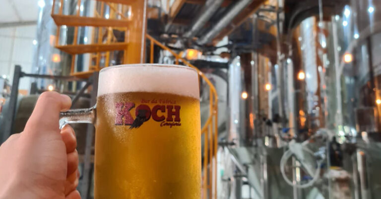Festival de Cerveja Artesanal de PG terá cursos e palestras