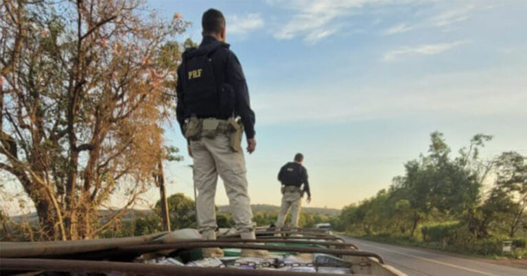 PRF apreende 2,5 toneladas de maconha escondidas em carga de soja no Paraná