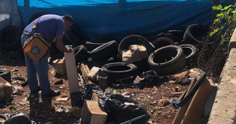 Mutirões da dengue avançam nas regiões de Uvaranas e Neves