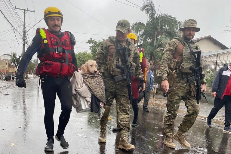 Resgates, policiamento, técnica e solidariedade: Paraná encerra operação no Rio Grande do Sul