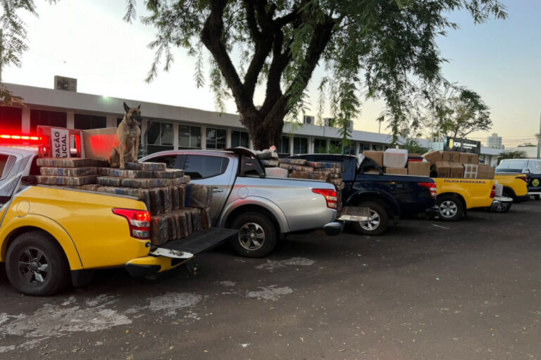 Polícia Militar do Paraná apreende 5,6 toneladas de maconha em Maringá