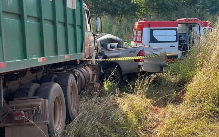 Sogros de deputado do Paraná morrem em acidente na BR-153, em Goiás