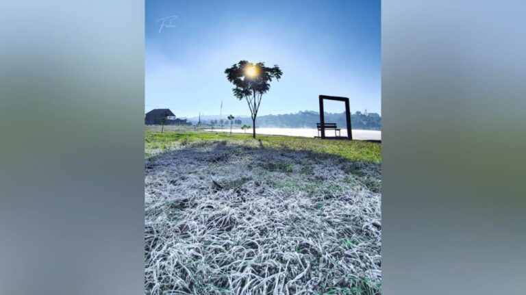 Geada cobre Ponta Grossa e seguidores registram o fenômeno em diferentes regiões