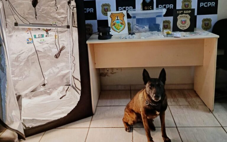 Jovem fazia maconha gourmet em casa e enviava pelos Correios