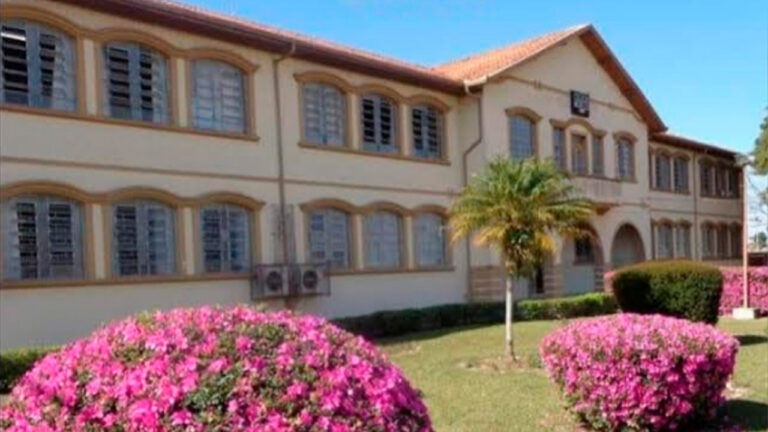Colégio Meneleu oferta curso gratuito em Administração; incrição até dia 15
