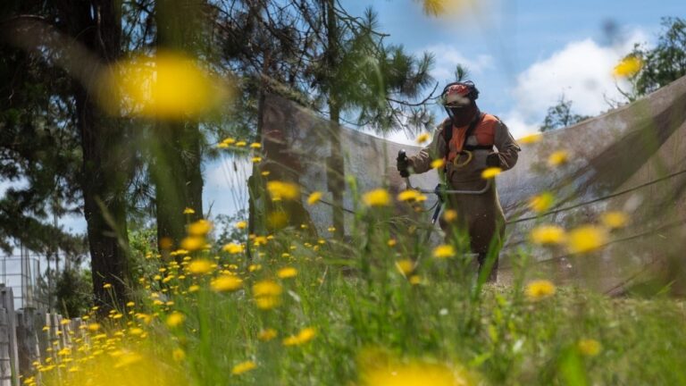 Edital da prefeitura notifica proprietários por falta de limpeza em terrenos urbanos de Ponta Grossa