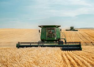 Em PG é Assim lança o Agro Avança e abre vitrine para o agronegócio com 30 milhões de visualizações mensais