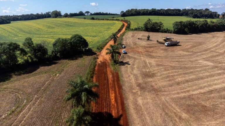 Alargamento de estradas rurais avança em Guaragi e Uvaia