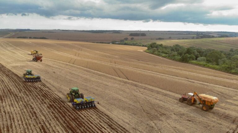 Com 22 milhões de toneladas, Paraná deve confirmar safra recorde de soja