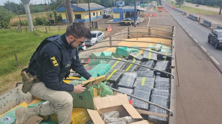 Maior apreensão de maconha do ano em rodovias federais é registrada pela PRF no Paraná