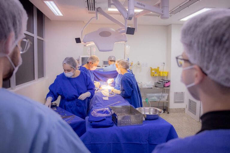 Paraná se consolida como Referência Nacional em Doação e Transplante de Órgãos